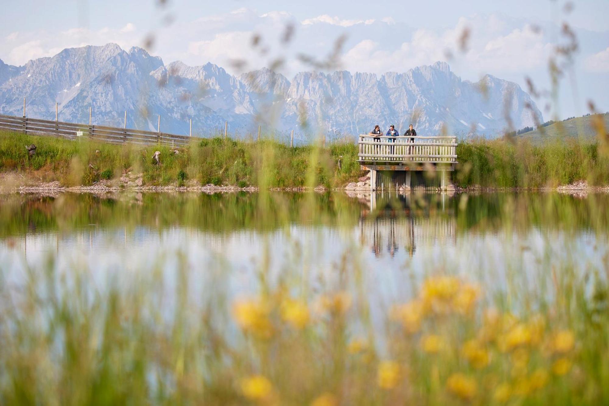 Das Hohe Salve Sportresort, 4 Sterne Superior Гопфгартен-ім-Бріксенталь Екстер'єр фото